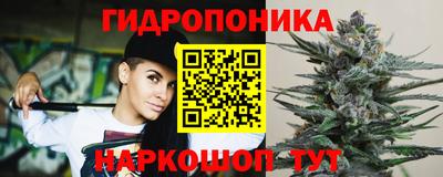 сатива Краснокаменск