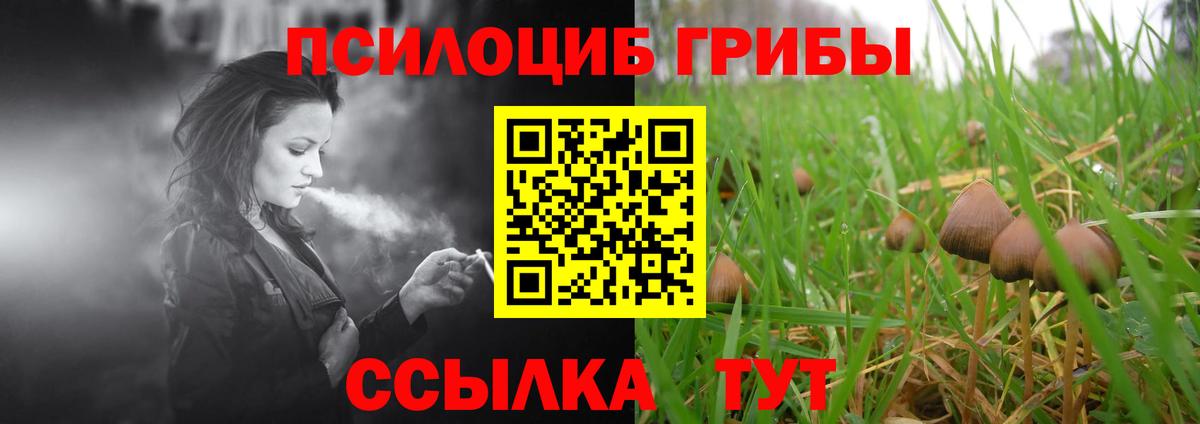 Галлюциногенные грибы Magic Shrooms  Вход с VPN  Арсеньев  Псилоцибиновые грибы Psilocybe 